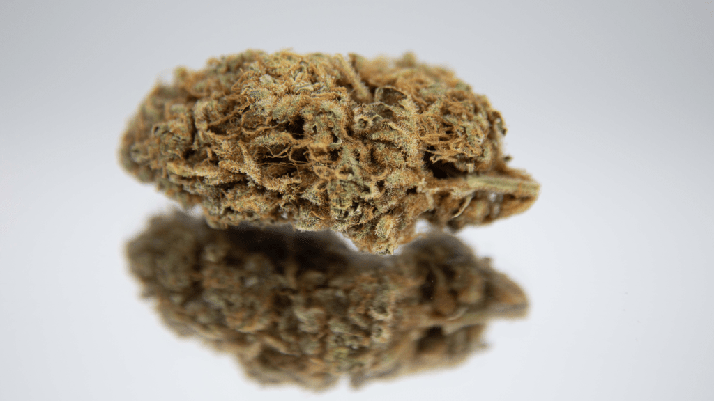 Indica, Sativa, Hybrid: Do These Labels Still Matter in 2025?